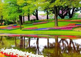 Keukenhof