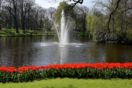 Keukenhof