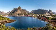 Reine