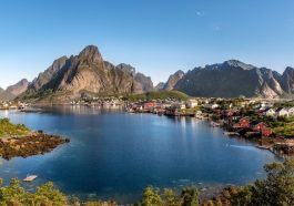 Reine