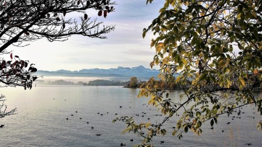 Bodamské jezero