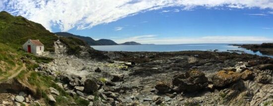 Niarbyl