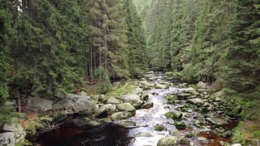 Šumava