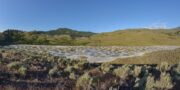 Spotted lake