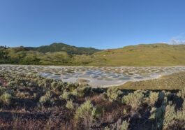 Spotted lake