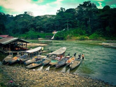 Taman Negara