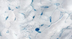 led v grónsku