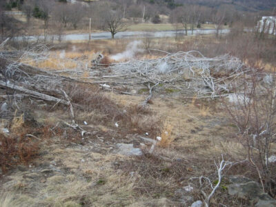 Centralia