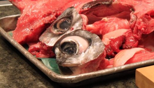 oční bulvy tuňáka