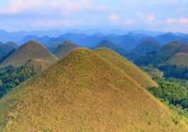 Chocolate Hills