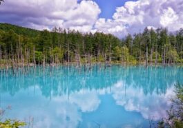 Blue pond Hokkaido