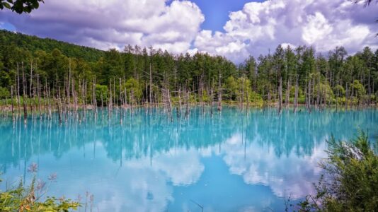 Blue pond Hokkaido