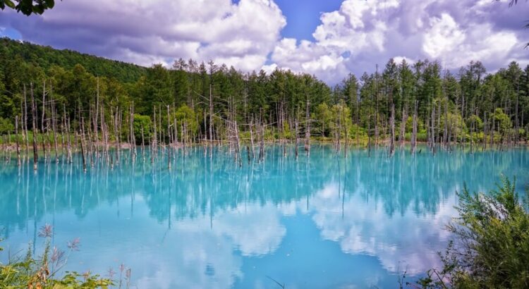 Blue pond Hokkaido
