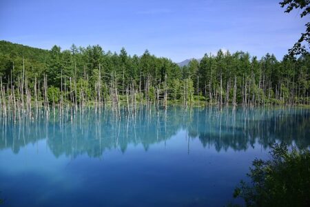 Blue pond Hokkaido