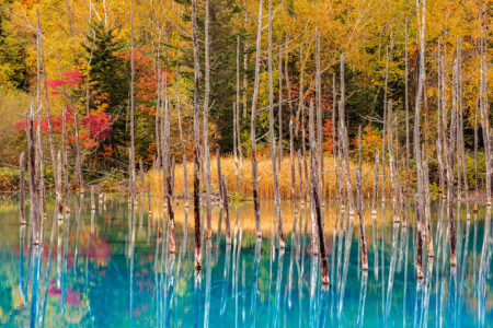 Blue pond Hokkaido