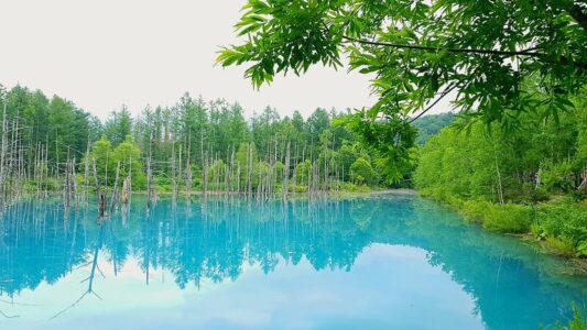 Blue pond Hokkaido