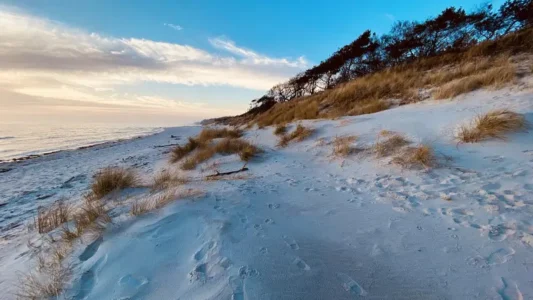 Oblíbená pláž Dueodde