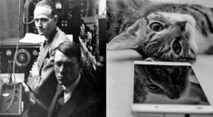 Ernest Wever a Charles Bray a kočka