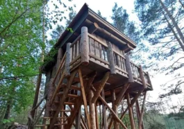 Treehouse Sokolí