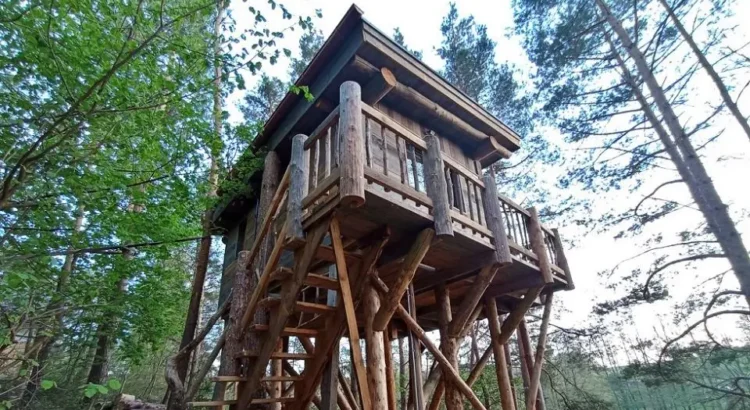 Treehouse Sokolí