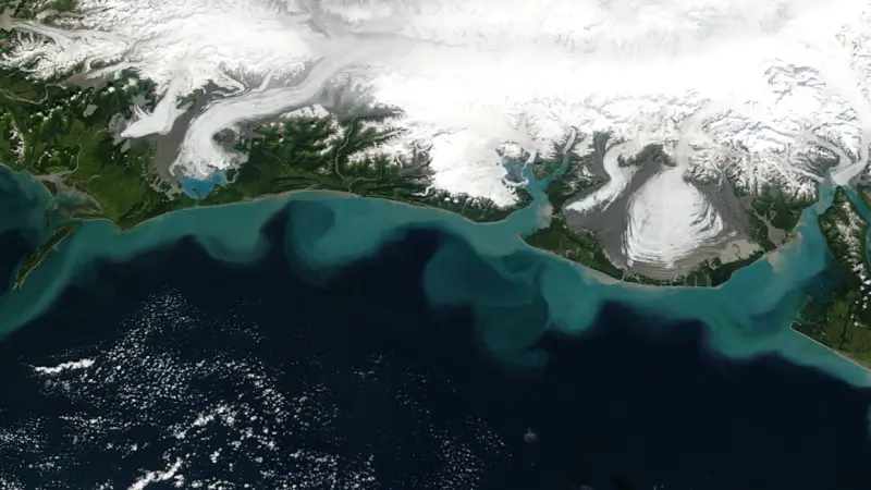 Aljašský záliv