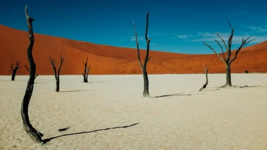 Deadvlei