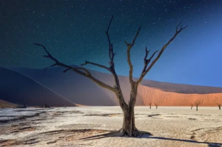 Deadvlei