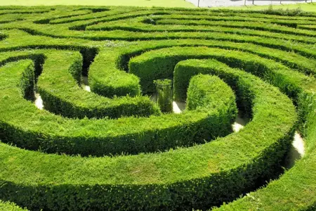 Longleat Hedge Maze