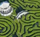 Longleat Hedg Maze