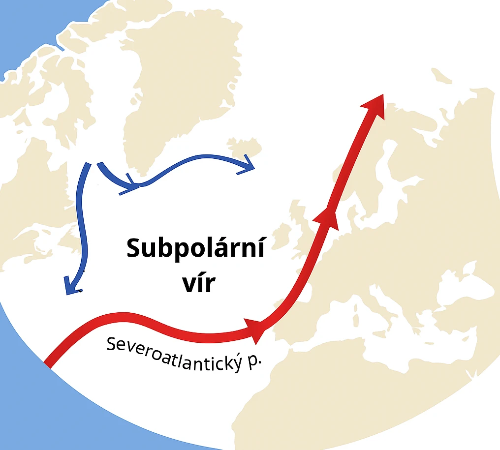 Subpolární vír