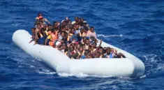 Migranti