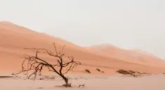 Namibie