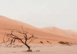 Namibie