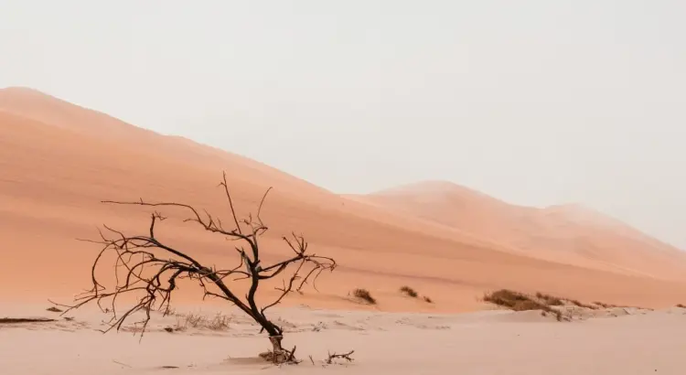 Namibie