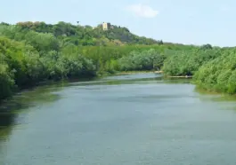 Dunaj na hranici Chorvatska a Srbska